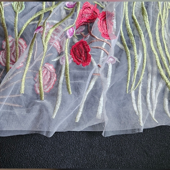 Floral Embroidered Sheer Dress - Picture 11 of 16